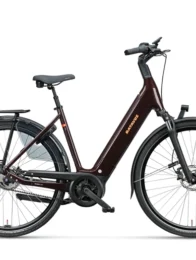 Finez Power Exclusive | Mørkerødbrun