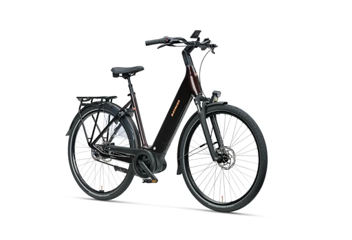 Finez Power Exclusive | Mørkerødbrun - Billede 1